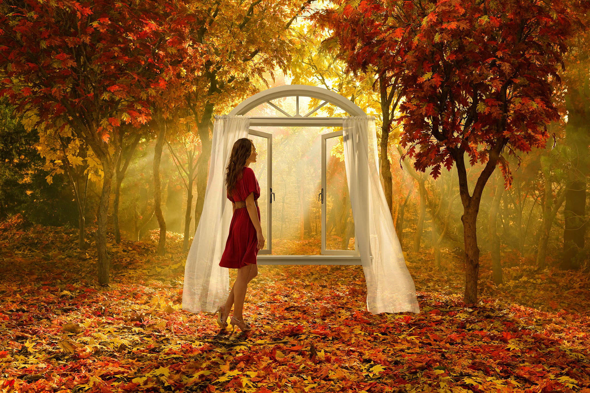 Glade | forest studio set  | Glen Wexler | Advertising Photographer